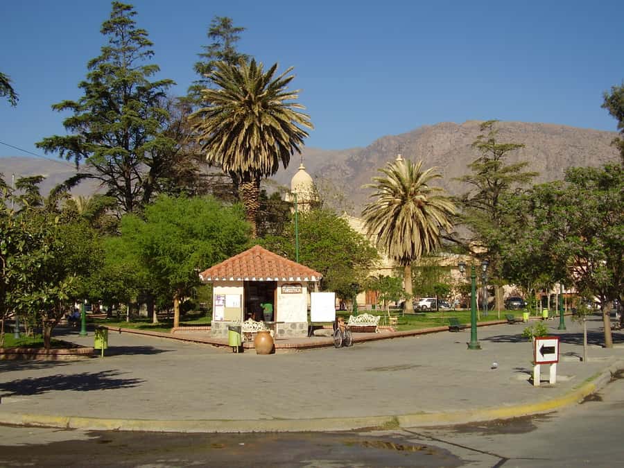 From Salta: Full-Day Tour to Cafayate with Wine Tasting - Who should book this Cafayate day tour—and who should skip it