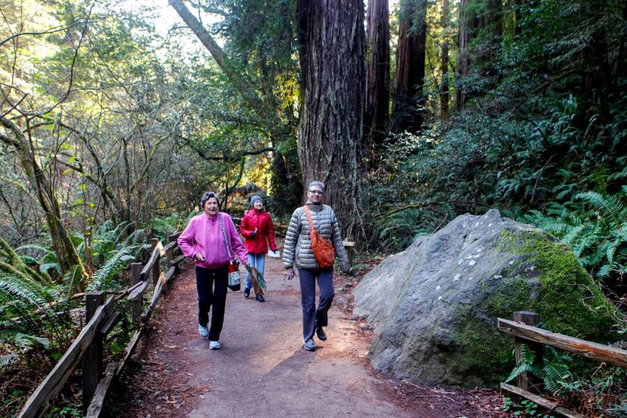 From San Francisco: Muir Woods & 3 Wineries in Napa & Sonoma - The guides and pacing: why small-group days work