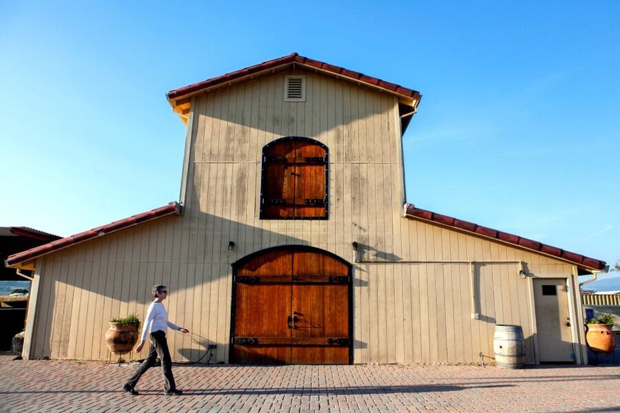 From San Francisco: Muir Woods & 3 Wineries in Napa & Sonoma - Who this tour fits best (and who should plan differently)