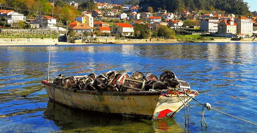 From Santiago: Rías Baixas Galicia Seafood & Wine Day Tour - Price and logistics: does $50 hold up?
