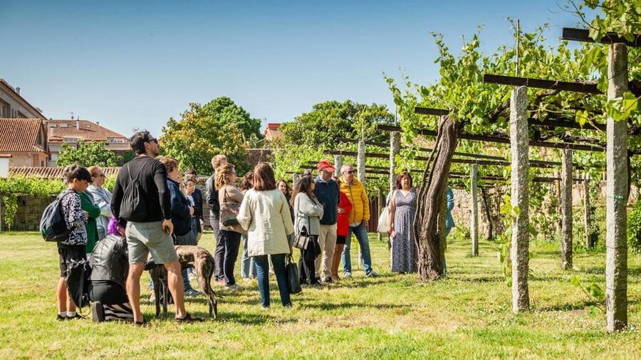 From Santiago: Tour to Rias Baixas with Boat Trip and Winery - Key highlights you’ll care about