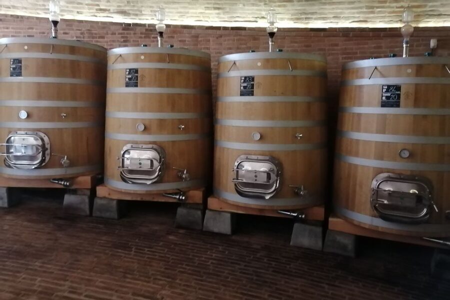 From Siena: Brunello di Montalcino Guided Wine Tour W/ Lunch - What the $203.91 Price Actually Buys You