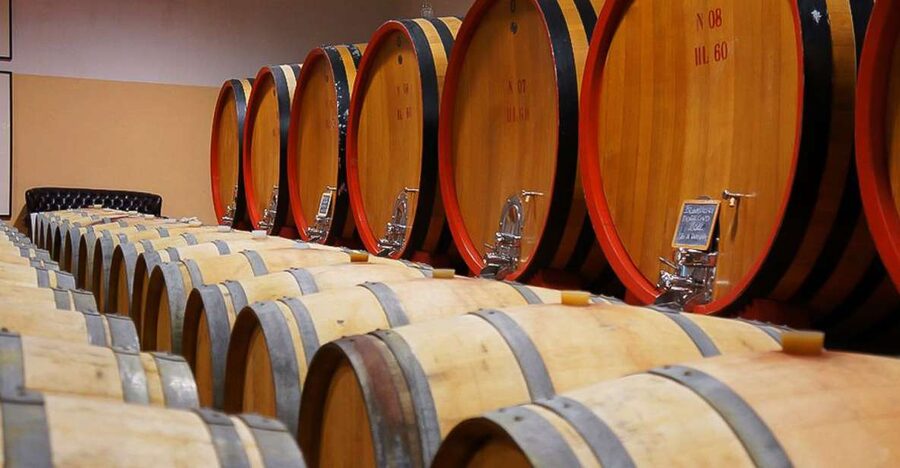 From Siena: Brunello di Montalcino Guided Wine Tour W/ Lunch - A Day in Brunello Country, Starting in Siena