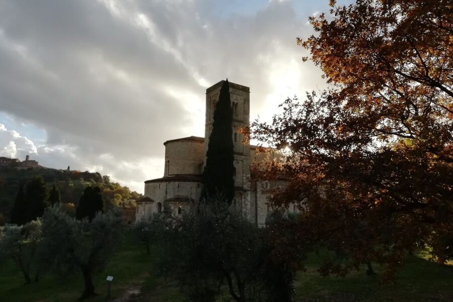 From Siena: Brunello di Montalcino Guided Wine Tour W/ Lunch - Vineyard Walking and Cellars: Where the Wine Story Starts