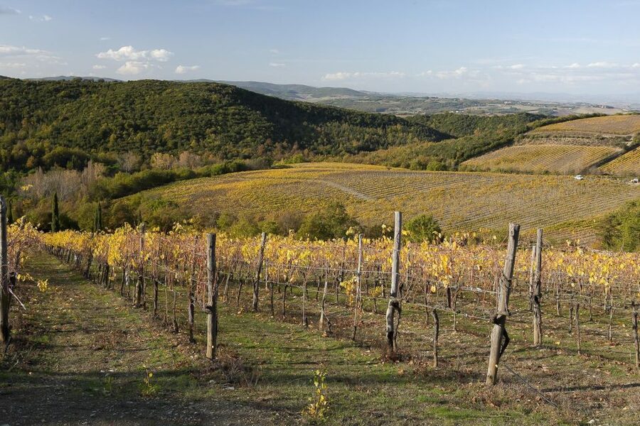 From Siena: Brunello di Montalcino Guided Wine Tour W/ Lunch - Sant’Antimo Abbey: The Calm Stop Between Tastings