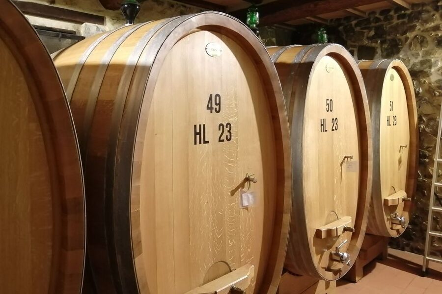 From Siena: Brunello di Montalcino Guided Wine Tour W/ Lunch - Lunch at a Family Winery: Where the Day Turns Into a Meal