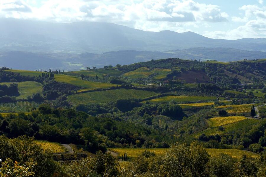 From Siena: Brunello di Montalcino Guided Wine Tour W/ Lunch - The 3 Winery Visits: Expect Different Personalities, Not One Repeat