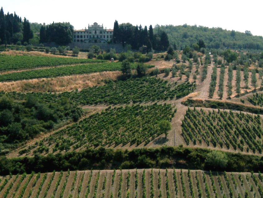 From Siena: Chianti and Castles Tour with Wine Tastings - From Hotel Minerva to the Chianti Hills in 5 hours