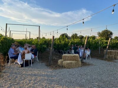 From Siena: Chianti and Castles Tour with Wine Tastings - Monteriggioni’s walls and towers: the castle moment
