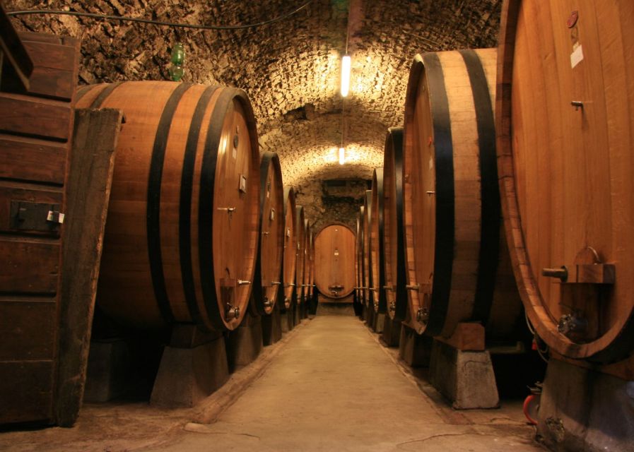 From Siena: Chianti and Castles Tour with Wine Tastings - Chianti Classico area and small-town rhythm