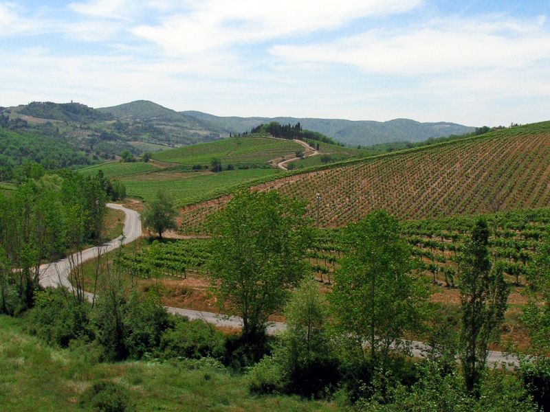From Siena: Chianti and Castles Tour with Wine Tastings - Price and value: is $100 for 5 hours fair?