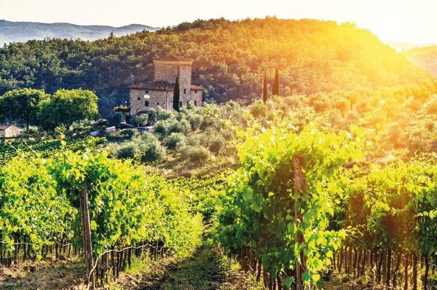 From Siena: Chianti and Castles Tour with Wine Tastings - Who should book this Chianti and castles-style day trip