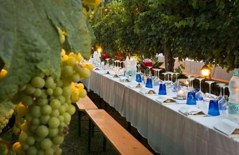 From Siena/Chianti: Dinner & Drinks in the Chianti Vineyards - Price check: is $123.48 a fair deal?