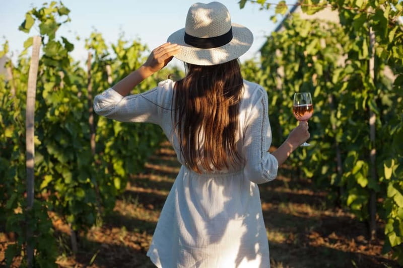 From Siena/Chianti: Dinner & Drinks in the Chianti Vineyards - What you’re really buying with this Chianti dinner