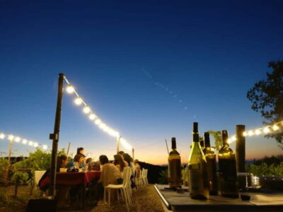 From Siena/Chianti: Dinner & Drinks in the Chianti Vineyards - Siena pickup and the countryside drive