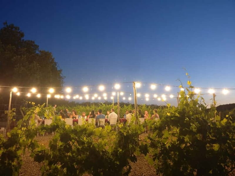 From Siena/Chianti: Dinner & Drinks in the Chianti Vineyards - Weather and comfort issues you should plan around