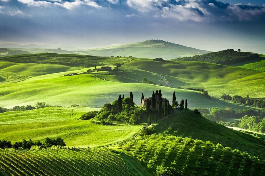 From Siena: Tuscany Hills Wine Tour - Pienza: the 80 minutes to do it your way