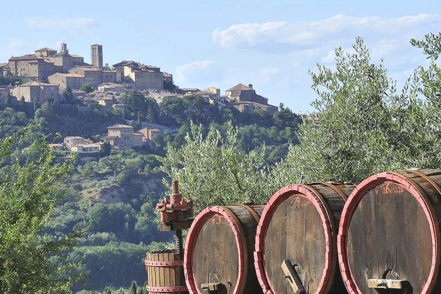 From Siena: Tuscany Hills Wine Tour - Wine, snacks, and lunch: how to handle the appetite gap