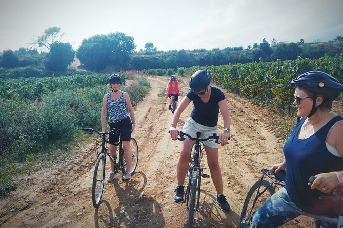 From Sitges: Bike Tour and Winery Visit with Free Hotel Pick Up. - The cycling in between: vineyards, grape trials, and a cava pause