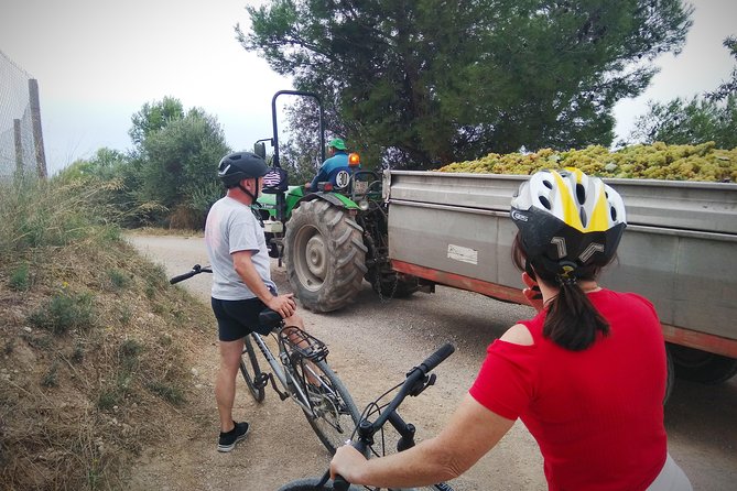 From Sitges: Bike Tour and Winery Visit with Free Hotel Pick Up. - Wine tasting, entrance fees, and where the small extras show up