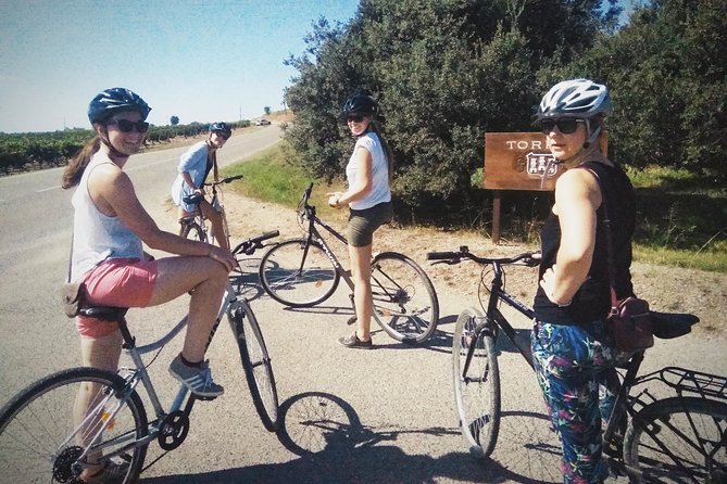 From Sitges: Bike Tour and Winery Visit with Free Hotel Pick Up. - Who this bike and cava tour suits best (and who should skip it)