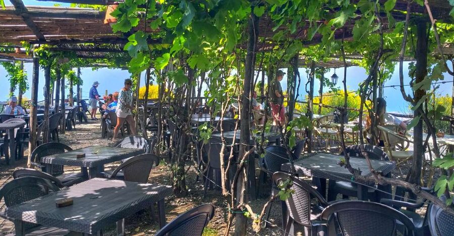 From Sorrento: Mount Vesuvius Tour with Lunch & Wine Tasting - Key highlights you can actually plan around