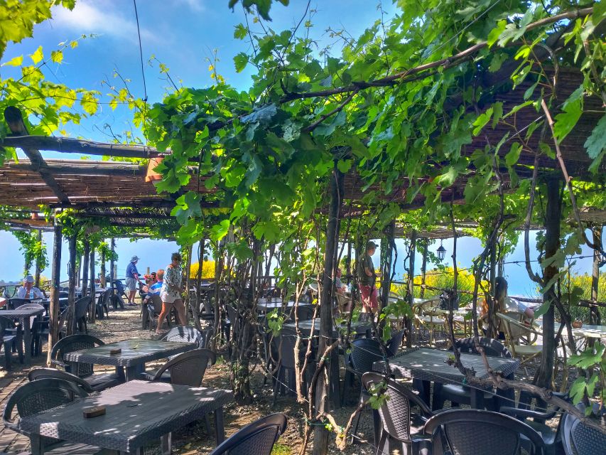 From Sorrento: Mount Vesuvius Tour with Lunch & Wine Tasting - The winery at the foot of Vesuvius: vineyards, lunch, and grappa