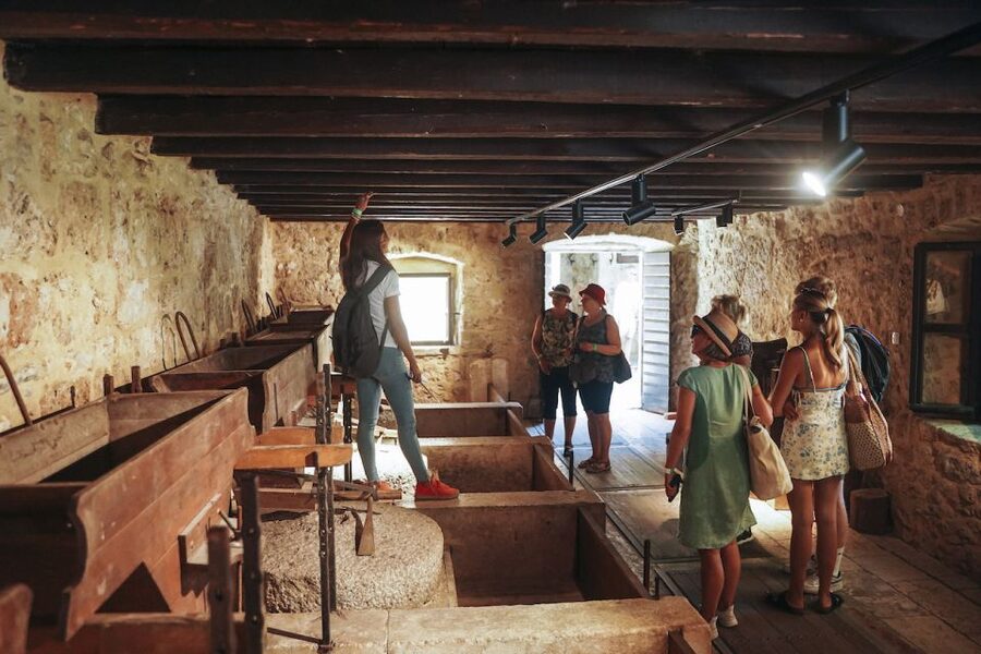 From Split: Krka Waterfalls, Food & Wine Tasting Tour - Plastovo village winery: Dalmatian tasting with Maraština, Debit, Plavina