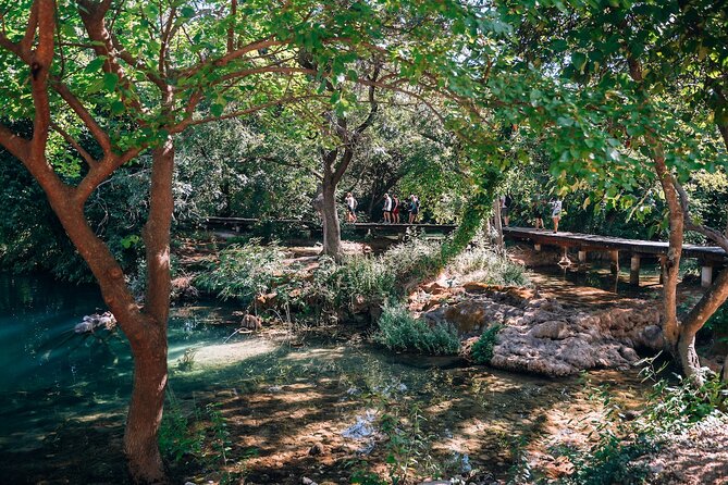 From Split: Krka Waterfalls, Food & Wine Tasting Tour - Who Should Book This Tour (and Who Should Skip It)