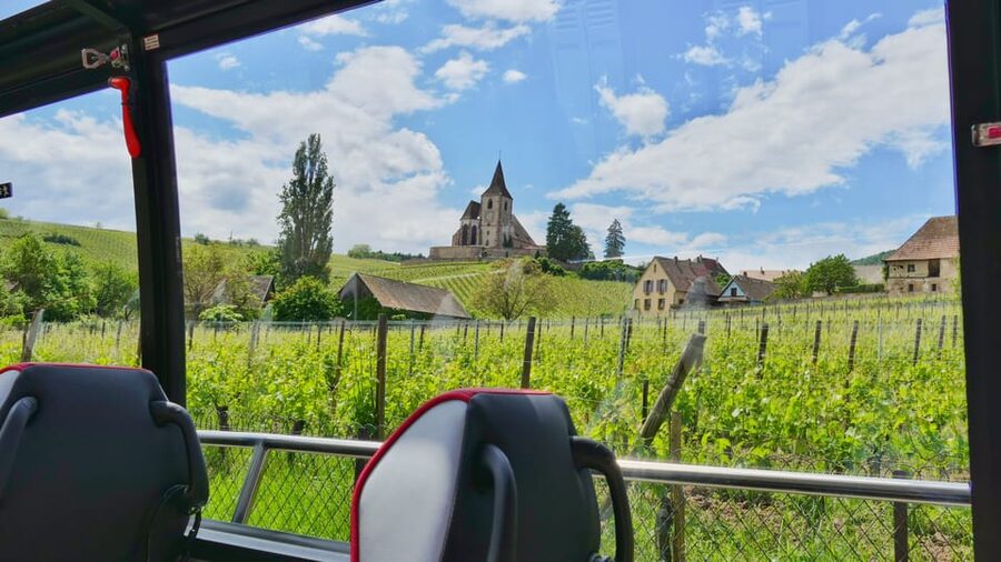 From Strasbourg: Medieval Villages & Wine Tasting Day Trip - Coach, Headsets, and a French-Only Guide: How the Day Stays Understandable
