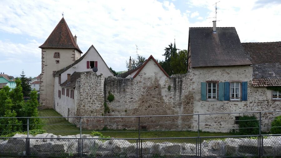 From Strasbourg: Medieval Villages & Wine Tasting Day Trip - Timing, Weather, and Not Missing the Bus