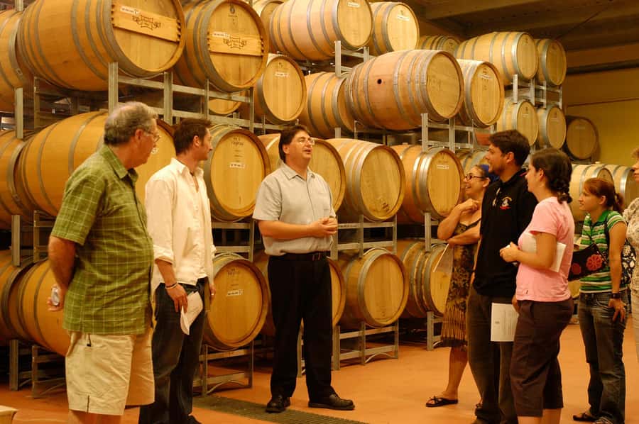 From Sydney: All Inclusive Boutique Hunter Valley Wine Tour - Wine tasting strategy: how to get more out of up to 20 pours
