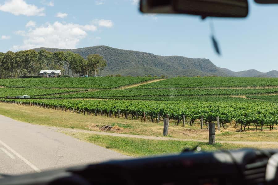 From Sydney: Full-Day Hunter Valley Wine Tour & Lunch - Key highlights at a glance
