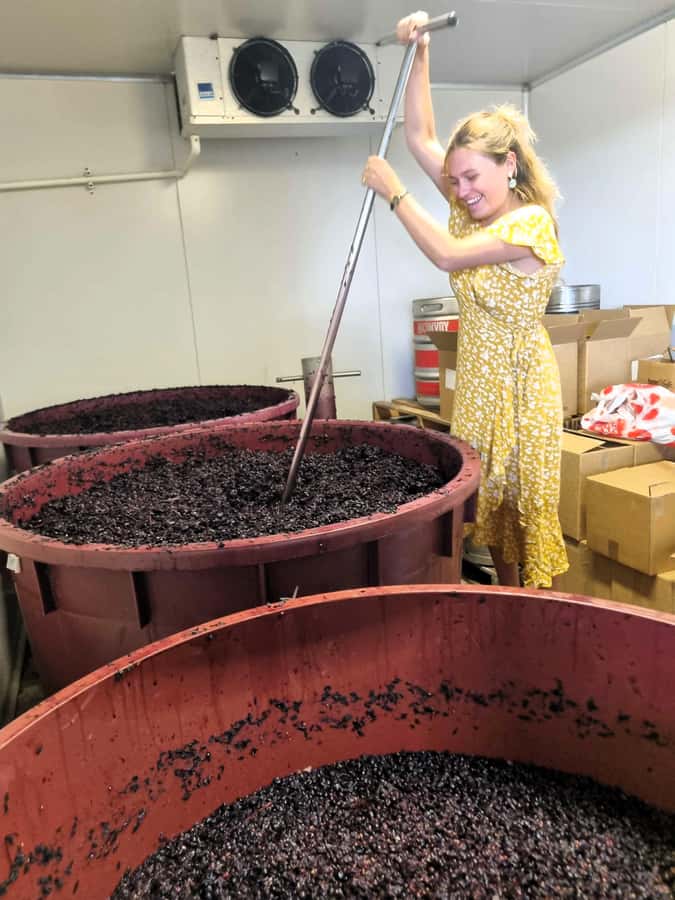 From Sydney: Hunter Valley Wine, Gin & Food Tastings Tour - From Sydney to Hunter Valley: the ride you should plan for
