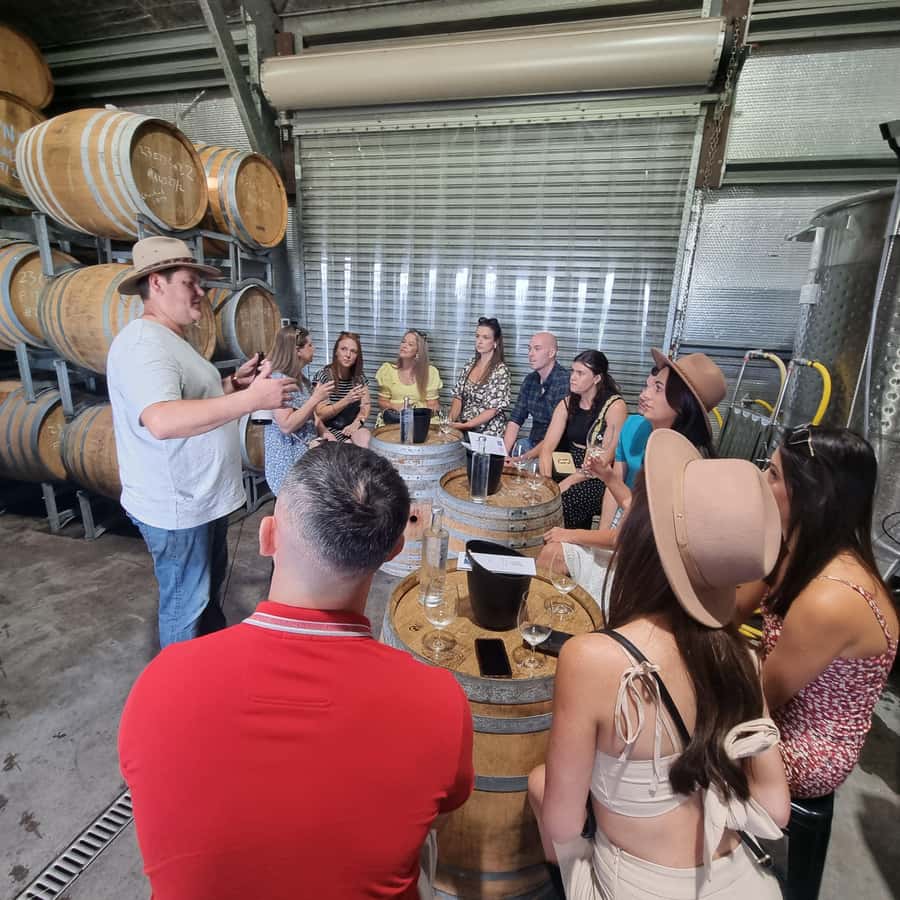 From Sydney: Hunter Valley Wine, Gin & Food Tastings Tour - Gin and vodka tasting: a highlight if you’re curious, mixed if you’re picky