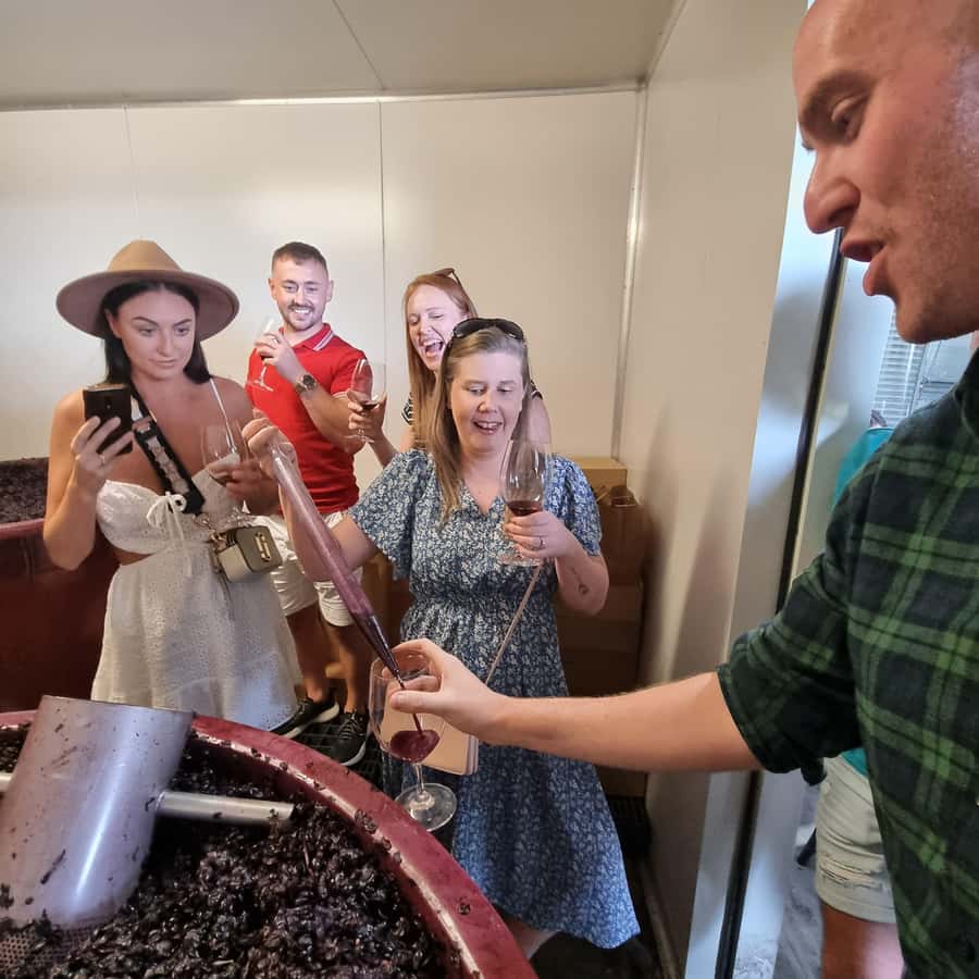 From Sydney: Hunter Valley Wine, Gin & Food Tastings Tour - Lunch in the Valley: one course with a drink, often wood-fired pizza