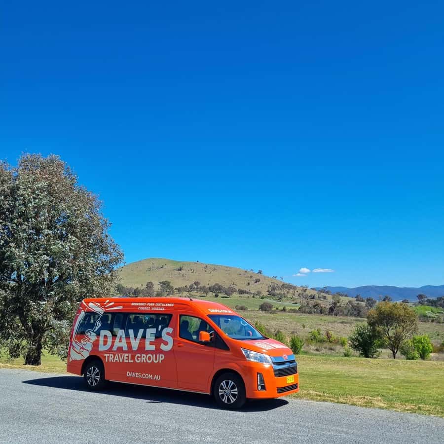 From Sydney: Hunter Valley Wine, Gin & Food Tastings Tour - Should you book: my decision guide for your Hunter Valley day
