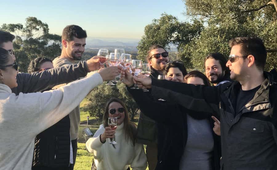From Sydney: Hunter Valley Wine Tasting & Winery Picnic Tour - Key Points at a Glance