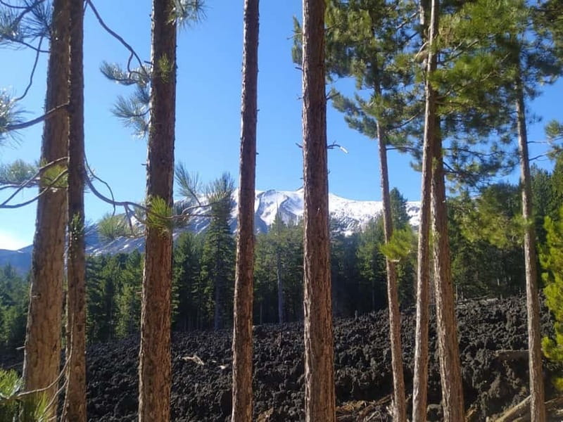 From Taormina: Etna Walking Tour and Wine Tasting in Winery - Mount Etna and Wine, Without the Big-Bus Feel