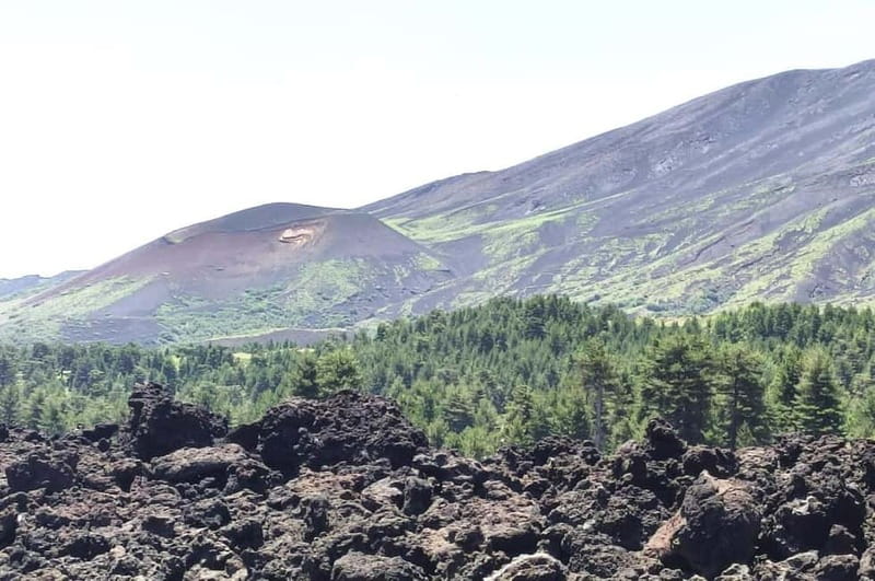 From Taormina: Etna Walking Tour and Wine Tasting in Winery - Etna Walk: Lateral Craters, Lava Flows, and Real Footing