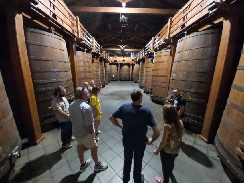 From Taormina: Etna Wineries Small Group Tour - First Winery Stop: Etna Wines, Vineyard Views, and Local Aperitif