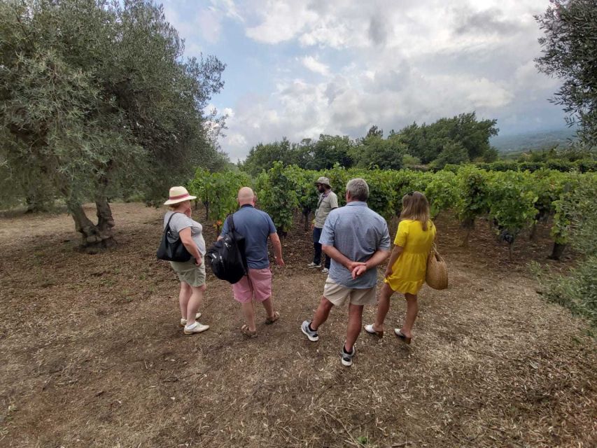 From Taormina: Etna Wineries Small Group Tour - Price and Value for a Full Day of Pickup, Tasting, and Food