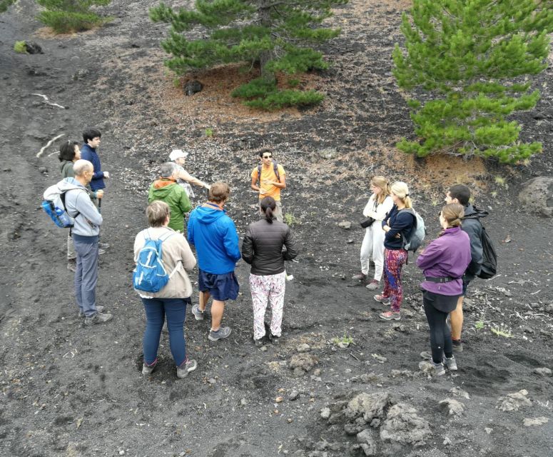From Taormina: Full-Day Etna, Wine & Alcantara Canyons Tour - Getting From Taormina: Pickup, Small-Group Pace, and Time on the Road