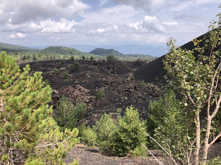 From Taormina: Full-Day Etna, Wine & Alcantara Canyons Tour - Price and Value: Is $116.68 Worth a 10-Hour Volcano Day?