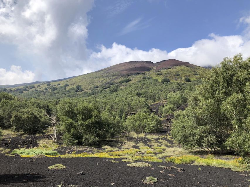 From Taormina: Full-Day Etna, Wine & Alcantara Canyons Tour - Who This Tour Suits Best (And Who Should Skip It)