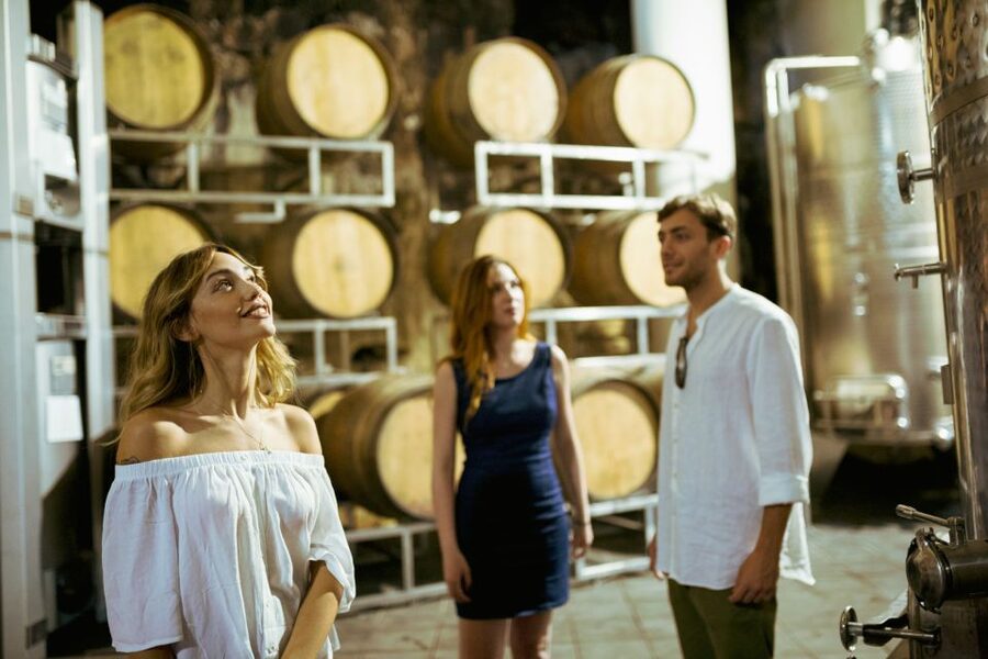 From Taormina: Mount Etna Food and Wine Tasting Tour - Price and value: why $168.79 is more than a wine label