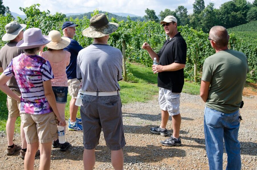 From Taormina: Private 3 Etna Wineries with Food & Wine - Why Etna’s Volcanic Wines Hit Different