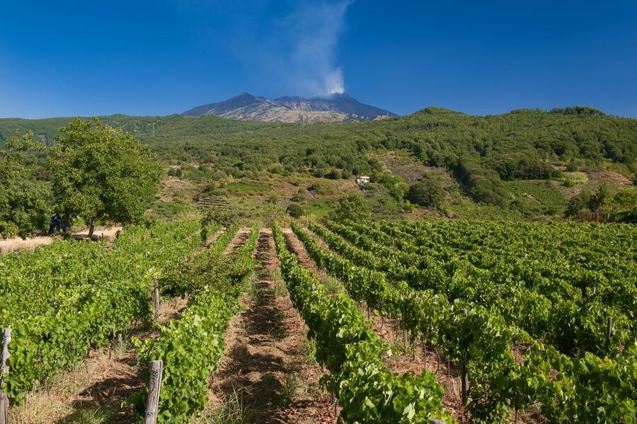 From Taormina: Private 3 Etna Wineries with Food & Wine - Guides Make the Day: Massimo, Roberto, Maurizio, Eliana, and More