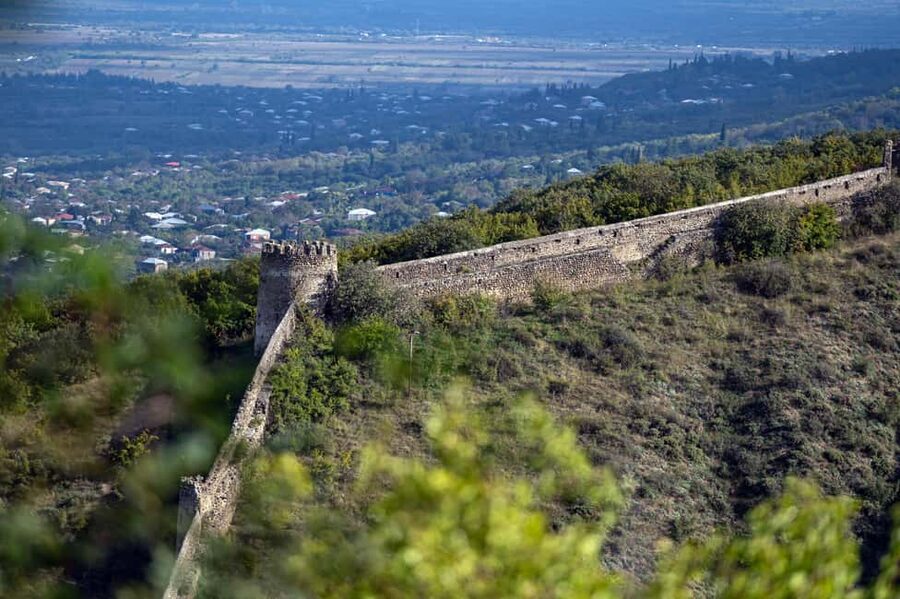 From Tbilisi: Kakheti Wine Region Tour with 9 Wine Tasting - Timing, logistics, and the one-day experience feel