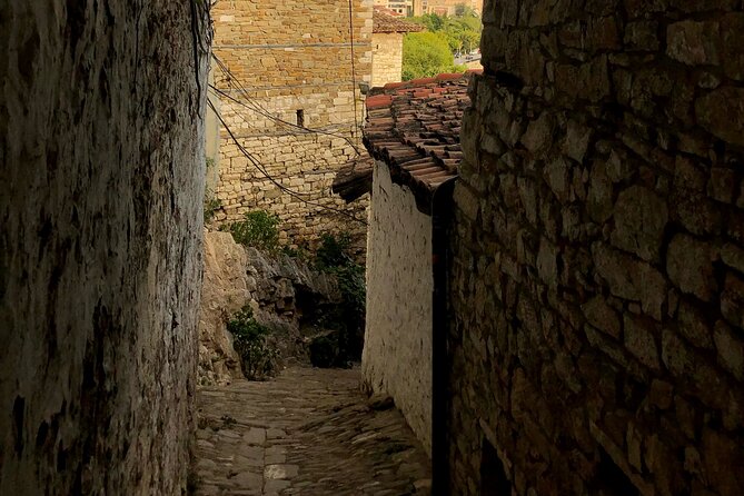 From Tirana: Berat UNESCO & Belshi Lake Full-Day Tour - Tirana to Belsh Lake: the ride, the views, and the reset